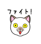 ねこちゃんいっぱい3.4 よく使う言葉（個別スタンプ：18）