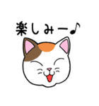 ねこちゃんいっぱい3.4 よく使う言葉（個別スタンプ：19）