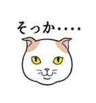 ねこちゃんいっぱい3.4 よく使う言葉（個別スタンプ：21）