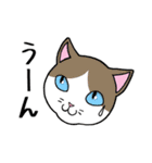 ねこちゃんいっぱい3.4 よく使う言葉（個別スタンプ：22）