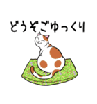 ねこちゃんいっぱい3.4 よく使う言葉（個別スタンプ：32）