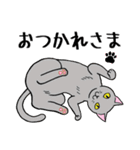 ねこちゃんいっぱい3.4 よく使う言葉（個別スタンプ：33）