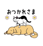 ねこちゃんいっぱい3.4 よく使う言葉（個別スタンプ：35）