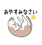 ねこちゃんいっぱい3.4 よく使う言葉（個別スタンプ：38）