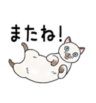 ねこちゃんいっぱい3.4 よく使う言葉（個別スタンプ：40）