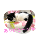 トラチワちゃん♡♪☆（個別スタンプ：4）
