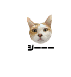猫さんたち。（個別スタンプ：3）