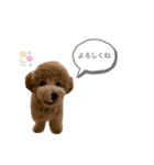 はなちゃんの気持ち！（個別スタンプ：2）