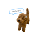 はなちゃんの気持ち！（個別スタンプ：6）
