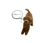 はなちゃんの気持ち！（個別スタンプ：10）