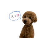 はなちゃんの気持ち！（個別スタンプ：20）