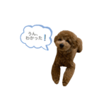 はなちゃんの気持ち！（個別スタンプ：33）