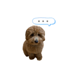 はなちゃんの気持ち！（個別スタンプ：35）