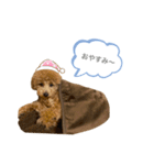 はなちゃんの気持ち！（個別スタンプ：39）