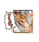 愉快な怜央28（個別スタンプ：1）