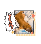 愉快な怜央28（個別スタンプ：7）