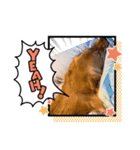 愉快な怜央28（個別スタンプ：10）