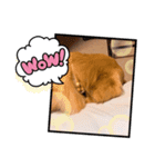 愉快な怜央28（個別スタンプ：11）