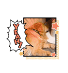 愉快な怜央28（個別スタンプ：13）
