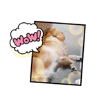 愉快な怜央28（個別スタンプ：15）