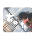 RuiRui☆STAMP【Part2】（個別スタンプ：6）