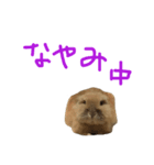 うさぎキラ✨2（個別スタンプ：7）