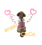 ピッコロトイプーcoco 2020年末2021年始（個別スタンプ：8）