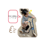 まなひな②（個別スタンプ：15）