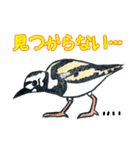 野鳥のはんこスタンプ ③（個別スタンプ：11）