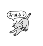 灰色の挨拶猫（個別スタンプ：1）