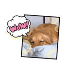 愉快な怜央29（個別スタンプ：1）