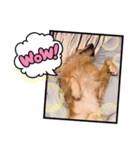 愉快な怜央29（個別スタンプ：5）