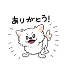 白い犬ロメロ（個別スタンプ：1）