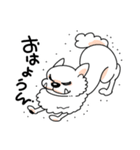 白い犬ロメロ（個別スタンプ：9）