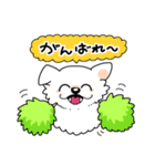 白い犬ロメロ（個別スタンプ：16）