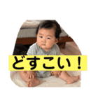 航ちゃんスタンプ第二弾（個別スタンプ：31）