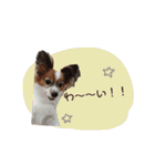 まいにちここちゃん（個別スタンプ：9）