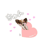 まいにちここちゃん（個別スタンプ：10）