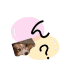 まいにちここちゃん（個別スタンプ：11）