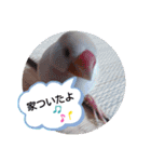 ショコたんくん♪♡▫♪*◌♬（個別スタンプ：7）