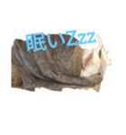 フレブルよしこちゃん3（個別スタンプ：1）