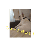フレブルよしこちゃん3（個別スタンプ：2）