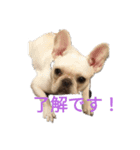 フレブルよしこちゃん3（個別スタンプ：3）