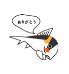 すきすきコリちゃん（個別スタンプ：8）