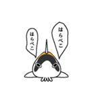 すきすきコリちゃん（個別スタンプ：11）