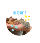 うちのはちゅたち♡（個別スタンプ：7）