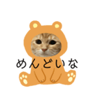 保護猫ちゃちゃまる（個別スタンプ：2）