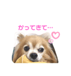 吉岡レオちゃん2（個別スタンプ：2）