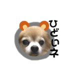 吉岡レオちゃん2（個別スタンプ：3）