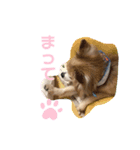吉岡レオちゃん2（個別スタンプ：4）
